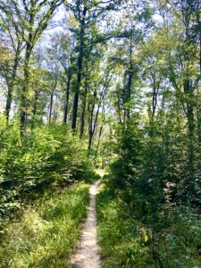 Natur kann wahre Wunder bewirken