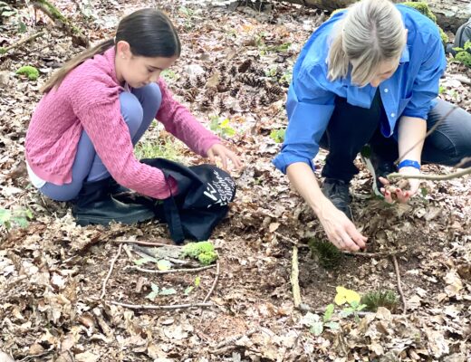 Gedächnisförderung im Wald mit Kinder