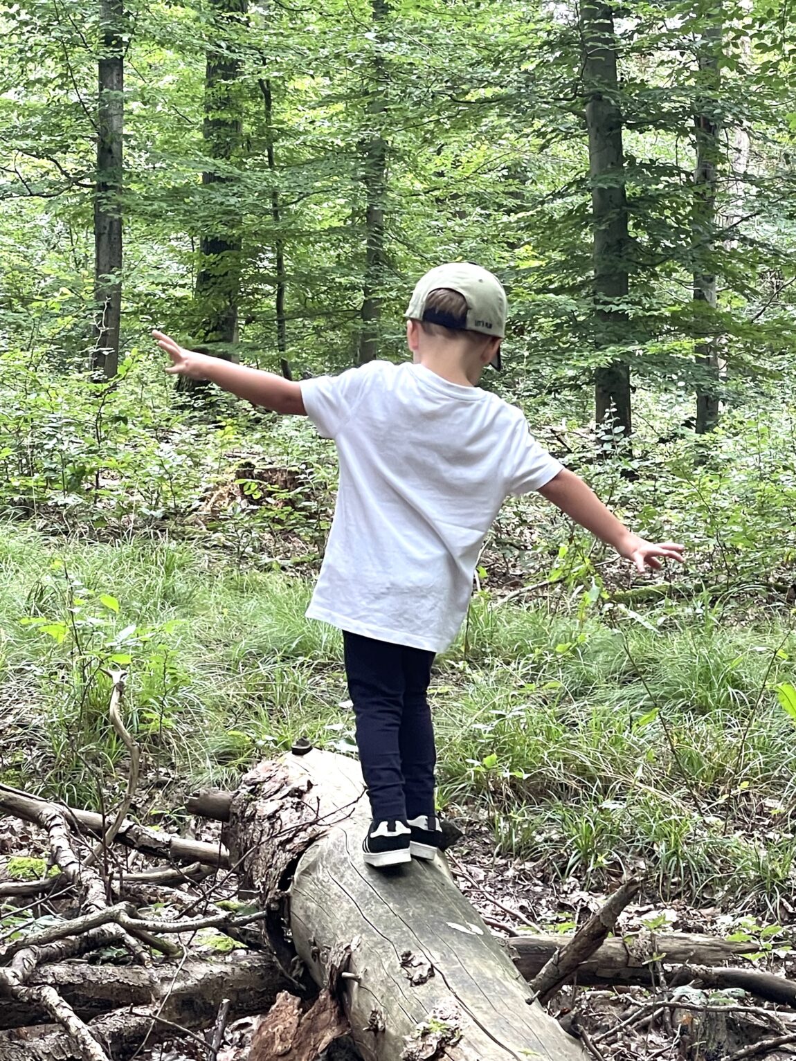 Natur Erleben, Sinne Öffnen 🌿